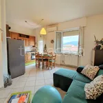 Rent 2 bedroom apartment of 57 m² in Firenze