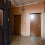 Rent 1 bedroom apartment in milan