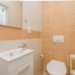 Rent 1 bedroom apartment in Prague