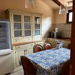 Rent 3 bedroom apartment of 100 m² in Turin