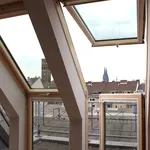 Rent 1 bedroom apartment of 431 m² in Cologne