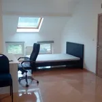 Rent 1 bedroom apartment in Charleroi