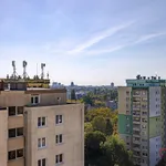 Rent 2 bedroom apartment of 54 m² in Łódź