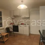 Rent 2 bedroom apartment of 50 m² in Colorno