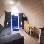 Rent 1 bedroom apartment in King's Lynn and West Norfolk