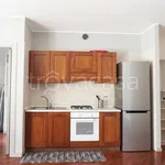 Rent 1 bedroom apartment of 45 m² in Colorno