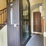 Rent 2 bedroom apartment of 45 m² in Torino