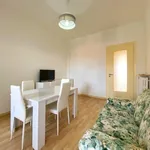 Rent 2 bedroom apartment of 55 m² in Turin