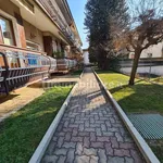 Rent 3 bedroom apartment of 70 m² in Cuneo