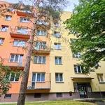 Rent 1 bedroom apartment of 24 m² in Ostrava