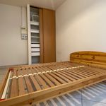 Rent 2 bedroom apartment of 38 m² in GRENOBLE