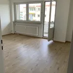 Rent 4 bedroom apartment of 75 m² in Siegen