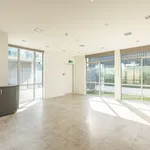 Rent 2 bedroom apartment in Christchurch