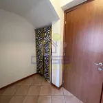 Rent 2 bedroom apartment of 50 m² in Cremona