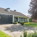 Rent 3 bedroom house in Merksplas