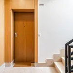 Rent 1 bedroom apartment in Lisbon