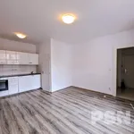 Rent 1 bedroom apartment of 30 m² in Praha