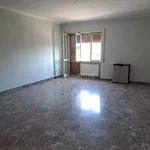 Affitto 3 camera appartamento di 130 m² in Marino