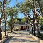 Rent 4 bedroom house of 155 m² in Polignano a Mare