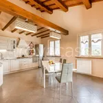 Rent 6 bedroom house of 230 m² in Seravezza