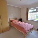 Rent 4 bedroom house in Cottingham