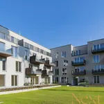 Rent 2 bedroom apartment of 53 m² in Linz