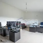 Rent 5 bedroom apartment of 200 m² in Arezzo