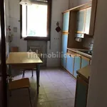 Rent 3 bedroom apartment of 100 m² in Rovigo