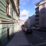 Rent 3 bedroom apartment of 125 m² in Prague