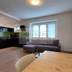 Rent 2 bedroom apartment of 50 m² in Praha