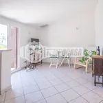 Rent 2 bedroom apartment of 35 m² in Roma