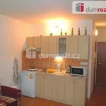 Rent 1 bedroom apartment of 21 m² in Jáchymov