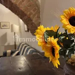 Rent 5 bedroom apartment of 200 m² in Siena