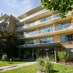 Rent 3 bedroom apartment in toronto