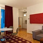 Rent 1 bedroom apartment of 484 m² in vienna