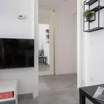 Rent 1 bedroom apartment of 45 m² in milan