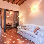 Rent 1 bedroom apartment of 70 m² in Florence