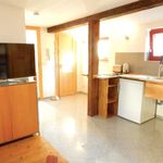 Rent 1 bedroom apartment of 31 m² in Offenbach am Main