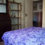 Rent a room in zaragoza