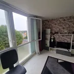 Appartement de 50 m² avec 1 chambre(s) en location à Soisy-sous-Montmorency