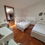 Rent 1 bedroom apartment of 150 m² in legnaro