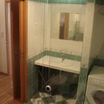 Rent 2 bedroom apartment of 80 m² in Prague