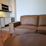 Rent 1 bedroom apartment in Auckland