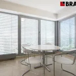 Rent 3 bedroom apartment of 195 m² in Brno