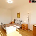 Rent 3 bedroom apartment of 76 m² in Brno