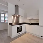 Rent 3 bedroom apartment of 60 m² in Den Haag