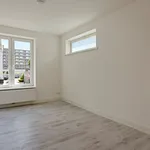 Huur 3 slaapkamer appartement van 152 m² in Maastricht