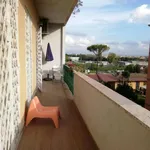 Rent 4 bedroom apartment of 120 m² in Roma