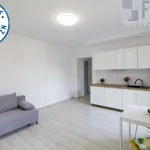 Rent 2 bedroom apartment of 31 m² in Chorzów