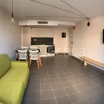 Rent 1 bedroom apartment of 35 m² in Verdellino